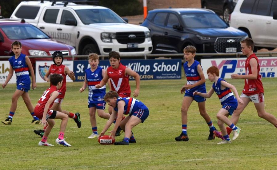 Wallaroo Oval home crowd