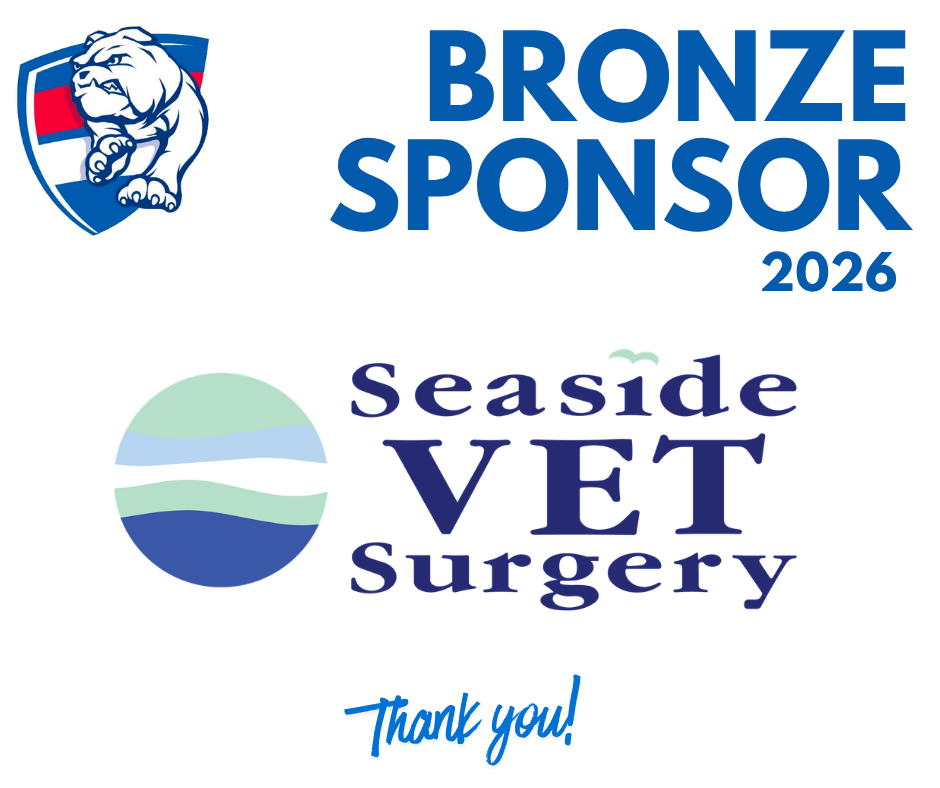 Seaside Vet Surgery
