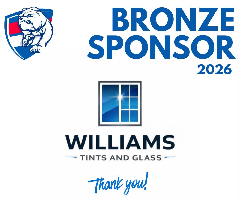 Williams Tints and Glass