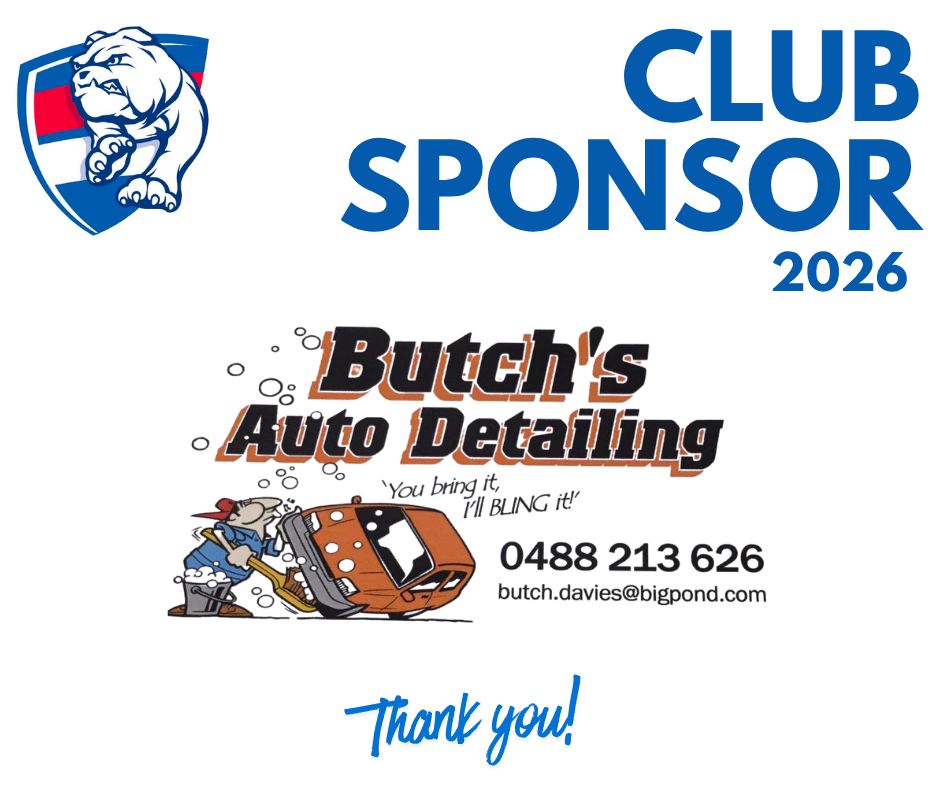 Butch's Auto Detailing