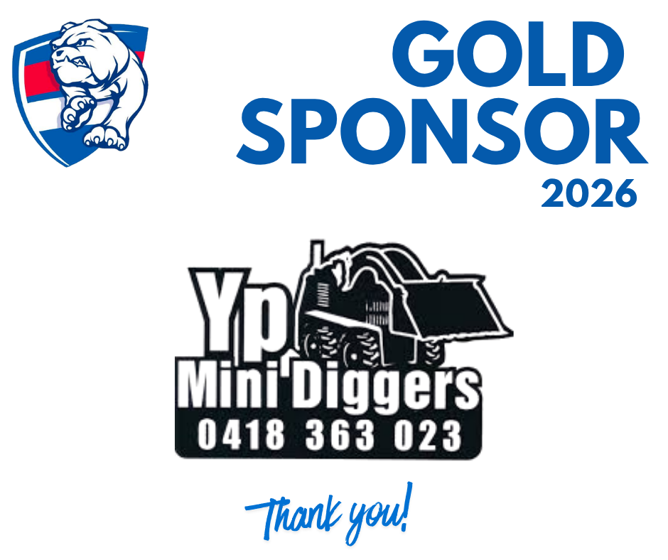 YP Mini Diggers